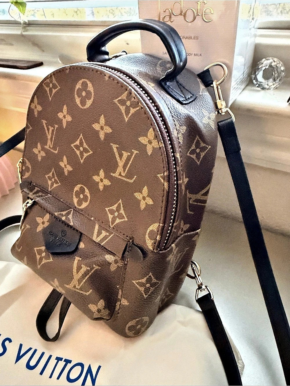 Monogram Palm Springs Mini Backpack - Picture 4 of 13